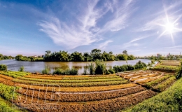 Dưỡng thủy khai lộ