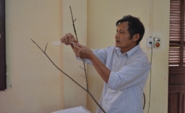Hội L&agrave;m vườn tỉnh: Tập huấn kỹ thuật cải tạo vườn tạp v&agrave; n&acirc;ng cao hiệu quả kinh tế vườn