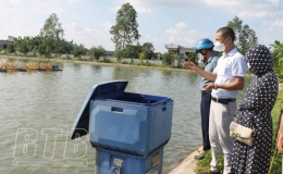 Nu&ocirc;i c&aacute; ao nổi thu tiền tỷ