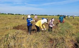  Tập trung khắc phục l&uacute;a, c&acirc;y m&agrave;u bị ảnh hưởng bởi mưa b&atilde;o