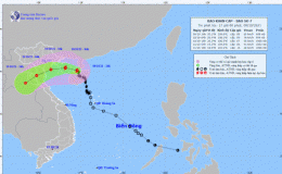 Tin b&atilde;o khẩn cấp (Cơn b&atilde;o số 7)