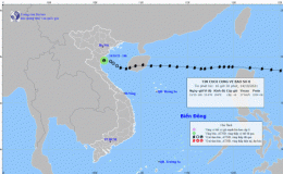 Tin cuối c&ugrave;ng về cơn b&atilde;o số 8