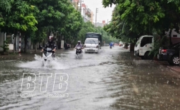 Tin gi&oacute; m&ugrave;a Đ&ocirc;ng Bắc