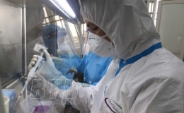 T&igrave;nh h&igrave;nh dịch Covid-19 đến ng&agrave;y 27/10   