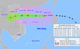 Triển khai kịp thời, hiệu quả, ứng ph&oacute; b&atilde;o số 8 v&agrave; mưa lũ sau b&atilde;o