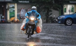 Từ ng&agrave;y 31/10 đến ng&agrave;y 5/11, c&aacute;c khu vực tr&ecirc;n cả nước đều c&oacute; mưa to đến rất to