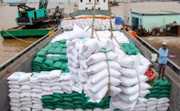  9 th&aacute;ng năm 2022 xuất khẩu gạo ước đạt 2,64 tỷ USD