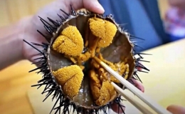 Đặc sản trứng nhum biển của Nhật