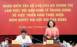 Đo&agrave;n kiểm tra của Bộ Ch&iacute;nh trị l&agrave;m việc với Ban Kinh tế Trung ương