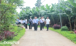 Đồng Nai: Kh&ocirc;ng 'mặc đồng phục' cho n&ocirc;ng th&ocirc;n mới kiểu mẫu