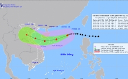 Đường đi của b&atilde;o Nesat