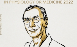 Giải Nobel Y sinh năm 2022 vinh danh nh&agrave; khoa học người Thụy Điển Svante P&auml;&auml;bo
