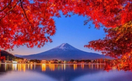 Kh&aacute;ch Việt c&oacute; thể đến Nhật tự t&uacute;c ho&agrave;n to&agrave;n từ 11/10