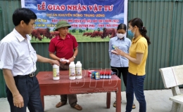 N&acirc;ng cao năng suất, gi&aacute; trị trong chăn nu&ocirc;i b&ograve;