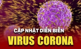Ng&agrave;y 12/10: C&oacute; 1.196 ca Covid-19 mới, 406 F0 khỏi bệnh