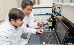 Nh&agrave; khoa học Việt t&igrave;m ra chất ức chế tế b&agrave;o ung thư m&aacute;u từ gạo