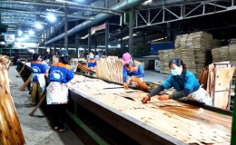 R&otilde; vai tr&ograve; tập thể l&atilde;nh đạo v&agrave; người đứng đầu cấp ủy