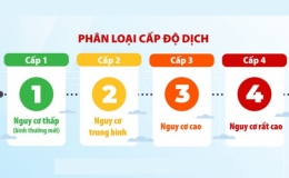 Th&ocirc;ng b&aacute;o cấp độ dịch tỉnh Th&aacute;i B&igrave;nh (ng&agrave;y 11/10/2022)
