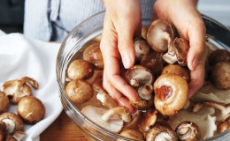 Th&ocirc;ng điệp &ldquo;5 ch&igrave;a kh&oacute;a để thực phẩm an to&agrave;n hơn&rdquo;