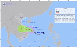 Tin b&atilde;o khẩn cấp (Cơn b&atilde;o số 5)