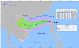 Tin b&atilde;o tr&ecirc;n biển Đ&ocirc;ng (Cơn b&atilde;o số 6)
