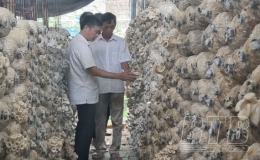 Trung t&acirc;m Khuyến n&ocirc;ng Th&aacute;i B&igrave;nh: T&iacute;ch cực chuyển giao khoa học kỹ thuật