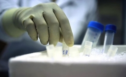 47 người Việt v&agrave;o top nh&agrave; khoa học ảnh hưởng nhất thế giới 2023