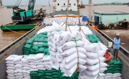  9 th&aacute;ng năm 2023, xuất khẩu gạo tăng 40,4%