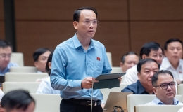 C&acirc;n nhắc việc thu thập th&ocirc;ng tin sinh trắc học về mống mắt khi l&agrave;m căn cước