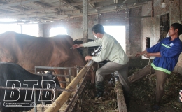 Chủ động ph&ograve;ng bệnh cho vật nu&ocirc;i thời điểm giao m&ugrave;a