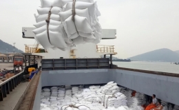 Gi&aacute; gạo Việt xuất khẩu đứng đầu thế giới