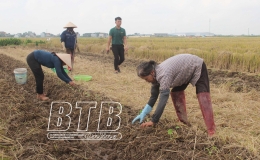 Gia tăng gi&aacute; trị từ sản xuất vụ đ&ocirc;ng