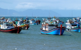 Kết quả thực hiện c&aacute;c quy định chống khai th&aacute;c IUU