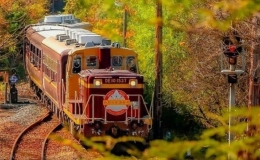 Những điểm ngắm thu Nhật Bản