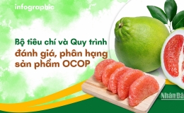 Những mục ti&ecirc;u ch&iacute;nh của Chương tr&igrave;nh OCOP giai đoạn 2021-2025