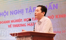  Tập huấn ứng dụng thương mại điện tử cho c&aacute;c doanh nghiệp, hợp t&aacute;c x&atilde;   