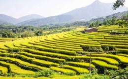 Th&aacute;ng 10, tới B&igrave;nh Li&ecirc;u để h&ograve;a v&agrave;o sắc thu v&agrave;ng miền bi&ecirc;n giới