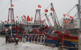  Tiền Hải: K&ecirc;u gọi t&agrave;u thuyền tr&aacute;nh tr&uacute; b&atilde;o số 5