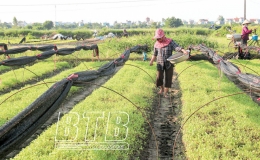 Tiếp tục đổi mới, ph&aacute;t triển, n&acirc;ng cao  hiệu quả hoạt động của kinh tế tập thể