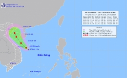 Tin &aacute;p thấp nhiệt đới tr&ecirc;n biển Đ&ocirc;ng