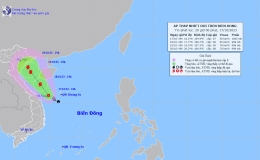 Tin &aacute;p thấp nhiệt đới tr&ecirc;n biển Đ&ocirc;ng