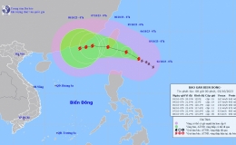 Tin b&atilde;o gần biển Đ&ocirc;ng (Cơn b&atilde;o Koinu)