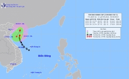 Tin b&atilde;o tr&ecirc;n biển Đ&ocirc;ng (Cơn b&atilde;o số 5)