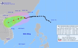 Tin b&atilde;o tr&ecirc;n biển Đ&ocirc;ng (Cơn b&atilde;o số 4)