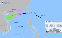 Tin b&atilde;o tr&ecirc;n biển Đ&ocirc;ng (Cơn b&atilde;o số 4)