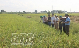 Tư duy mới của c&aacute;c HTX n&ocirc;ng nghiệp