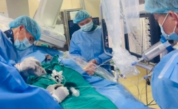 Việt Nam đăng cai tổ chức Đại hội khoa học tim mạch Đ&ocirc;ng Nam &Aacute; lần thứ 27