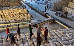 Xuất khẩu gạo mang về gần 3,7 tỷ USD