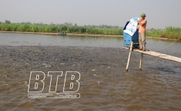 B&igrave;nh Định: N&acirc;ng cao ti&ecirc;u ch&iacute; thu nhập trong x&acirc;y dựng n&ocirc;ng th&ocirc;n mới kiểu mẫu