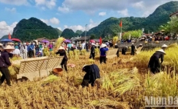 Đặc sắc Lễ hội "M&ugrave;a v&agrave;ng Bắc Sơn"